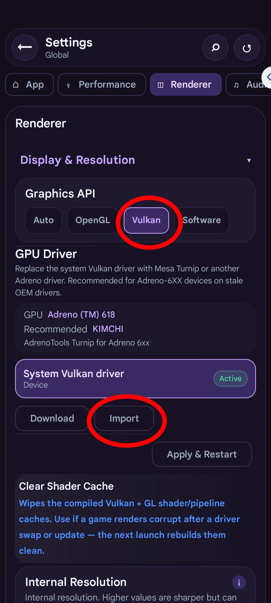 Step 4 GPU driver - Select Vulkan Graphics API and tap Import under GPU Driver